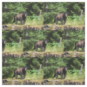 Tissu Ours noir Alpha (Échantillon)