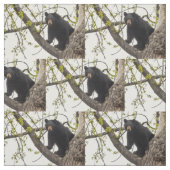 Tissu Ours noir s'élevant (Échantillon)