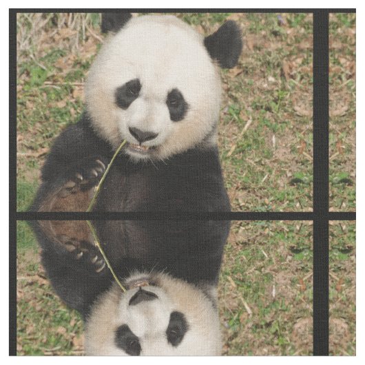Tissu Ours panda géant mignon (Fermer)