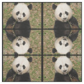 Tissu Ours panda géant mignon (Échantillon)