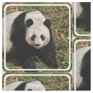 Tissu Ours panda irritable