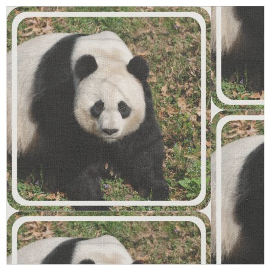 Tissu Ours panda irritable (Fermer)