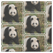 Tissu Ours panda irritable (Échantillon)