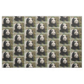 Tissu Ours panda irritable (Fat Quarter)