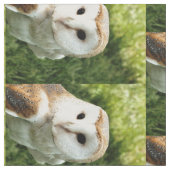 TISSU OWLS (Fermer)