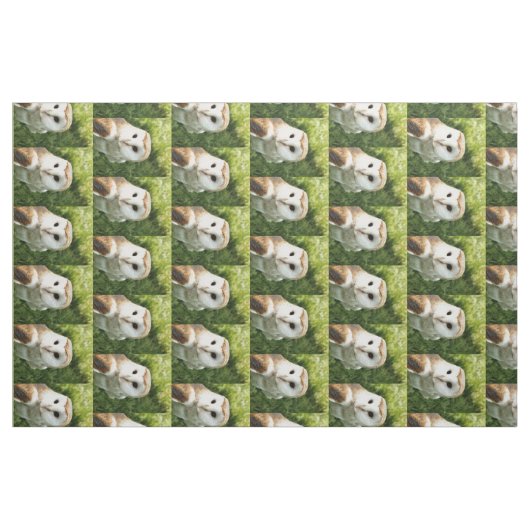 TISSU OWLS (Fat Quarter)
