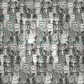 Tissu owls noir NC (Carreau)