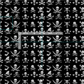 TISSU PÂLE DE PIRATES NOIRES, OBJETS TRAVERSÉS, ÉPINES (Carreau)