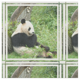 Tissu panda-4.jpg