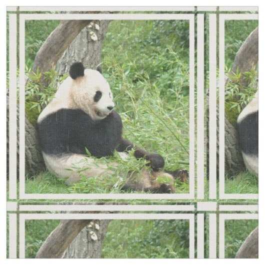 Tissu panda-4.jpg (Fermer)