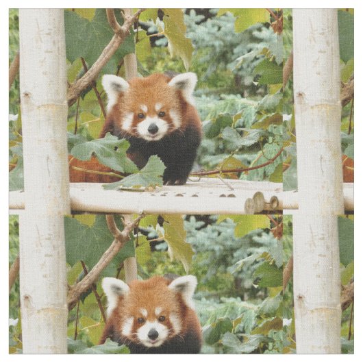 Tissu Panda rouge (Fermer)
