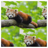 Tissu Panda rouge (Fermer)