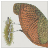 Tissu Paon : Congo Peahen (Fermer)