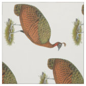 Tissu Paon : Congo Peahen (Échantillon)