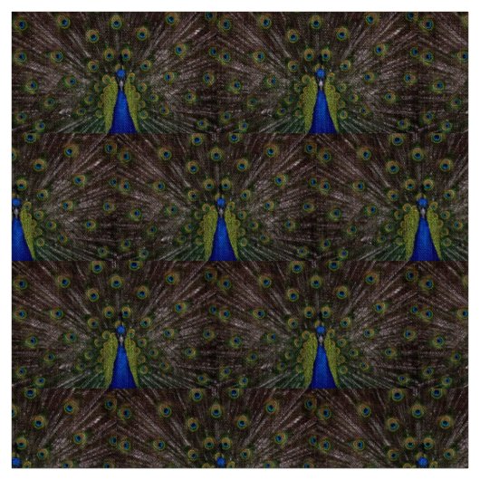 Tissu Paon magnifique (Échantillon)