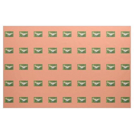 Tissu Papillon (Yard)