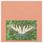 Tissu Papillon (Fermer)