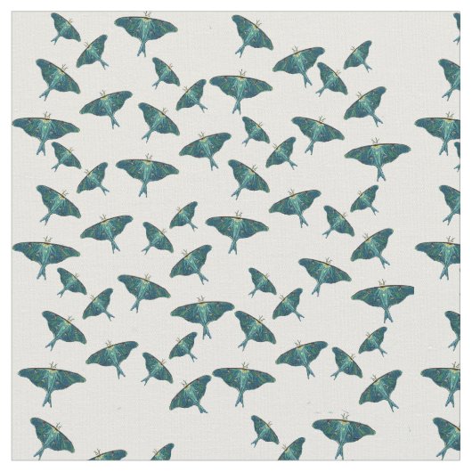 Tissu Papillon bleu papillon (Fermer)