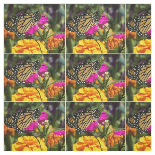 Tissu Papillon Monarque sur marigold rose (Échantillon)