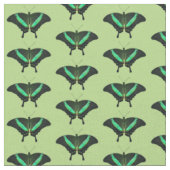 Tissu Papillon Papilio emeraude (Vert) (Fermer)