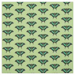 Tissu Papillon Papilio emeraude (Vert)