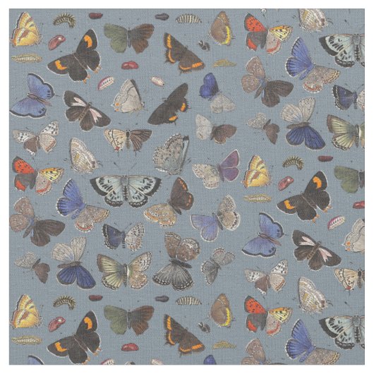 Tissu Papillons, 1842 (Fermer)