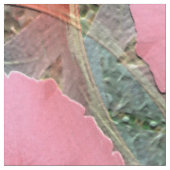 Tissu Peachy.... (Fermer)