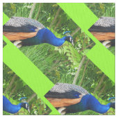 Tissu Peacocks (fermé)