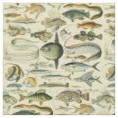 Tissu Pêche scientifique vintage (Fermer)