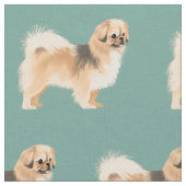 Tissu peigné d'espagnol tibétain (crème) (Fermer)