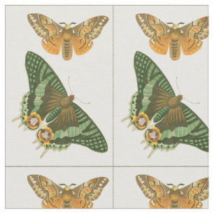 Tissu Peinture légèrement encadrée de papillon