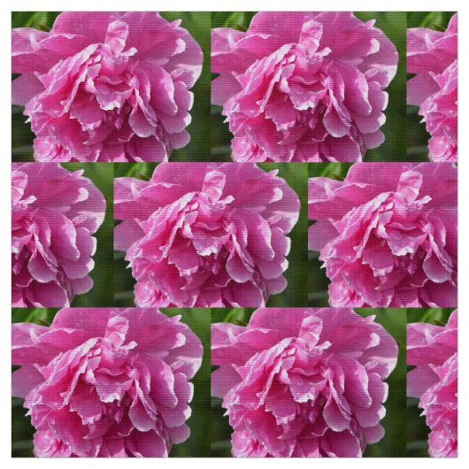 Tissu Peony rose (Échantillon)