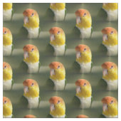 Tissu Perroquet de caïque gonflé par blanc mignon (Échantillon)