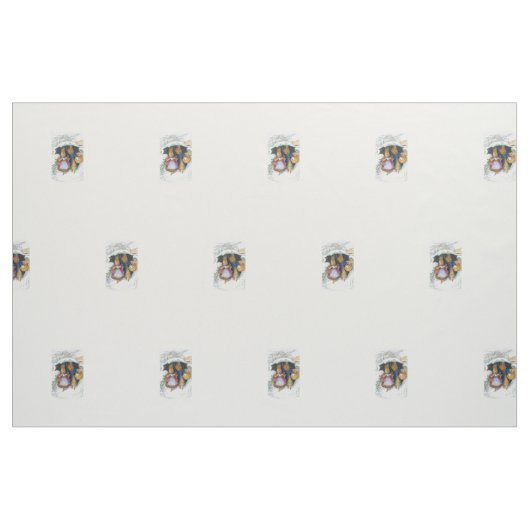 Tissu Peter Rabbit Beatrix Potter (Fat Quarter)