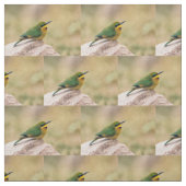 Tissu Petit Bee-Eater (Échantillon)