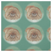 Tissu Petit chien lion (Échantillon)