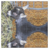 Tissu Petit foin de chèvre (Fermer)