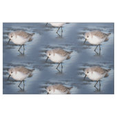 Tissu Petit Sanderling mignon à la plage (Fat Quarter)