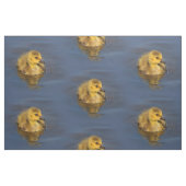 Tissu Petite nageuse : Goose Gosling Canada (Fat Quarter)