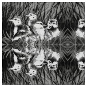 Tissu Petits canards (Fermer)