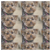 Tissu Pfft ! (Échantillon)