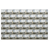 Tissu Phare de Sandy Hook (Fat Quarter)