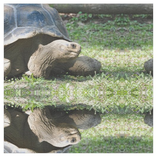 Tissu Photo de tortue de la faune (Fermer)