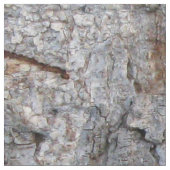 Tissu Photo d'écorce d'arbre de nature (Fermer)