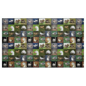 Tissu Photo Patchwork - Oiseaux (Fat Quarter)