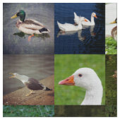 Tissu Photo Patchwork - Oiseaux (Fermer)