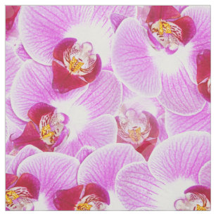 Tissu Photo rayonnante de nature d'orchidée de la BG de