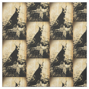 Tissu Photo vintage de Pinscher de dobermann vieille