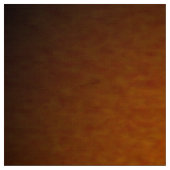 Tissu Photographie Portable Gold Stucco (Échantillon)