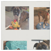 Tissu PICS de chien (Échantillon)